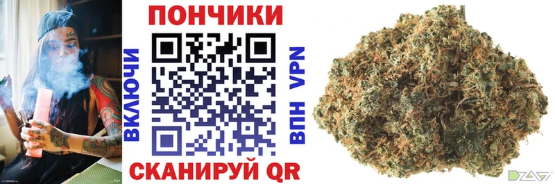 Бошки Шишки OG Kush  Купить где  Волжский 